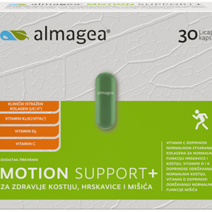 Motion Support+